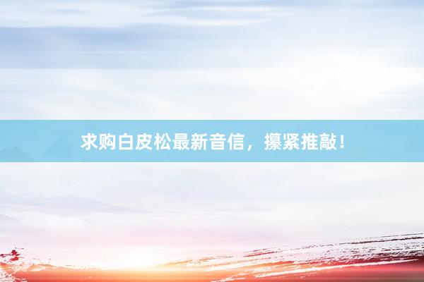 求购白皮松最新音信，攥紧推敲！